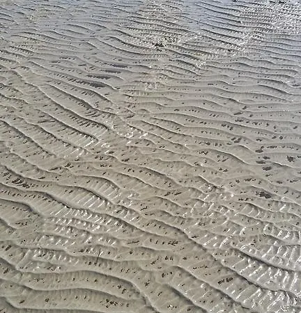 דירה La Casa Di Franca *